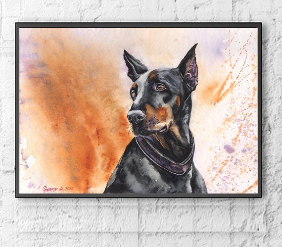 570x499 Doberman Watercolor Print Of The Original Painting Art Cute - Doberman Watercolor