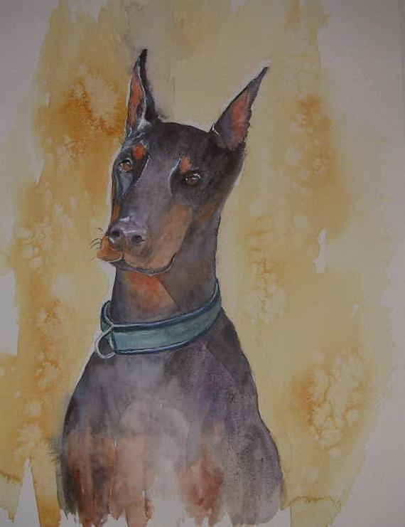 570x741 Doberman Watercolour Painting Etsy - Doberman Watercolor