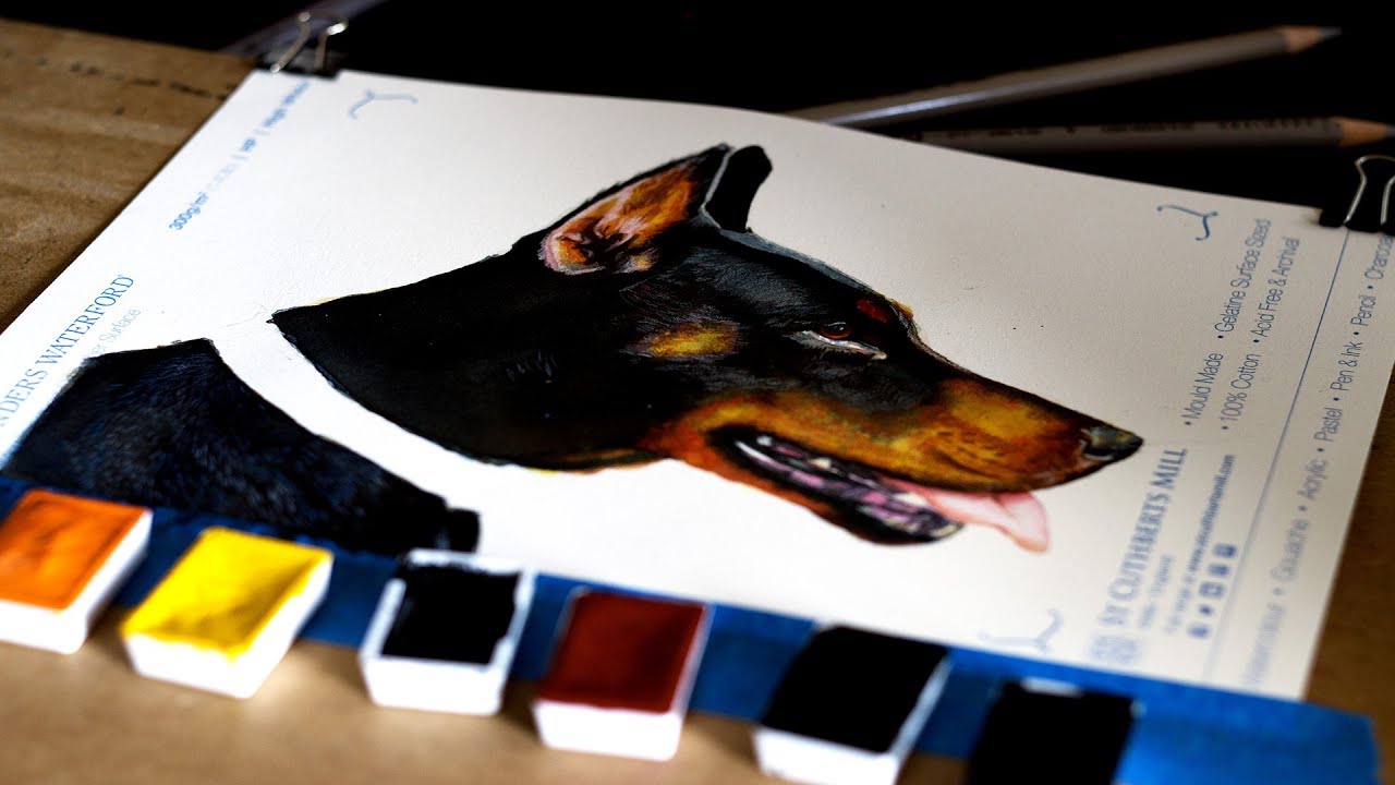 1280x720 How To Paint A Dog Portrait - Doberman Watercolor