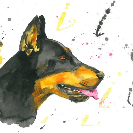 550x550 Doberman - Doberman Watercolor