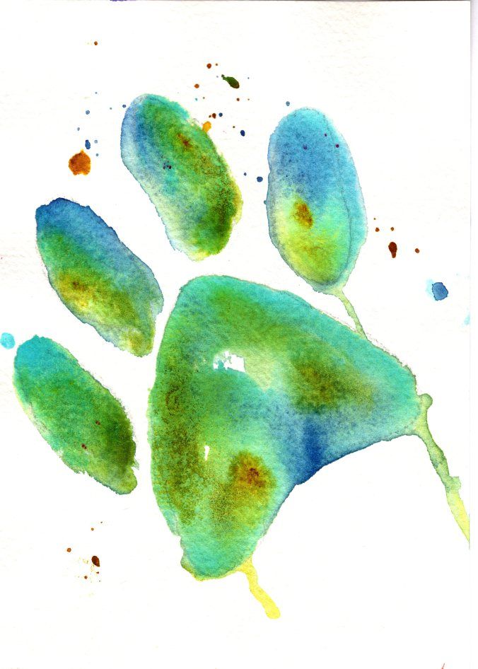 676x946 Charlie Dog Paw Print Watercolor Cobalt Teal Blue Prussian Blue - Dog Paw Print Watercolor