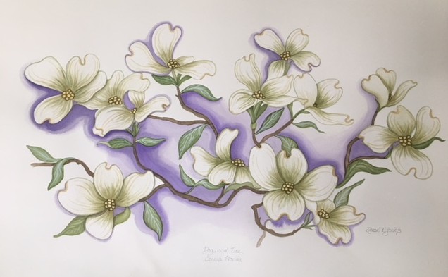 636x393 Dogwood Tree - Dogwood Watercolor