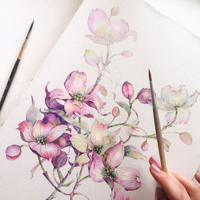 700x700 Dogwood In Watercolor On Behance - Dogwood Watercolor