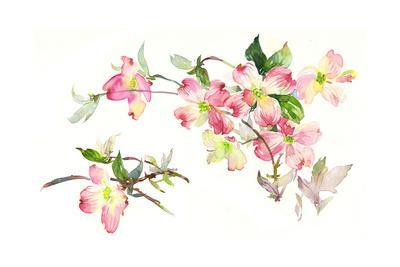 400x267 Thin Branches Of Watercolor Dogwood Flowers Art Print By - Dogwood Watercolor