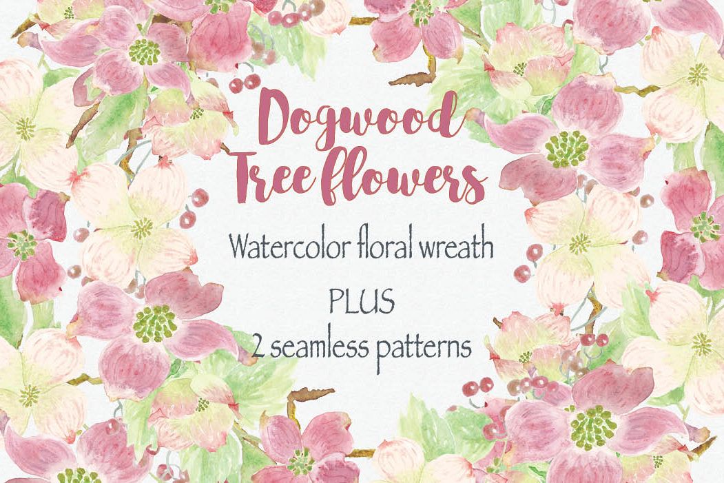 1051x701 Watercolor Wreath Of Dogwood Tree Flowers - Dogwood Watercolor