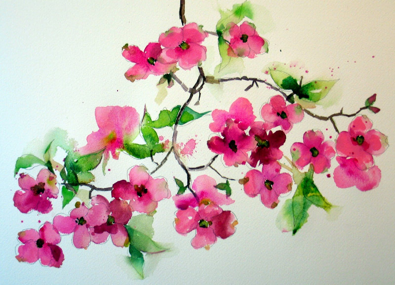 1600x1153 Dogwood Blossom Tattoo - Dogwood Watercolor