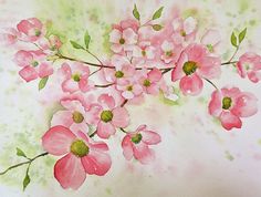 236x178 Dogwood Flowers - Dogwood Watercolor Paintings