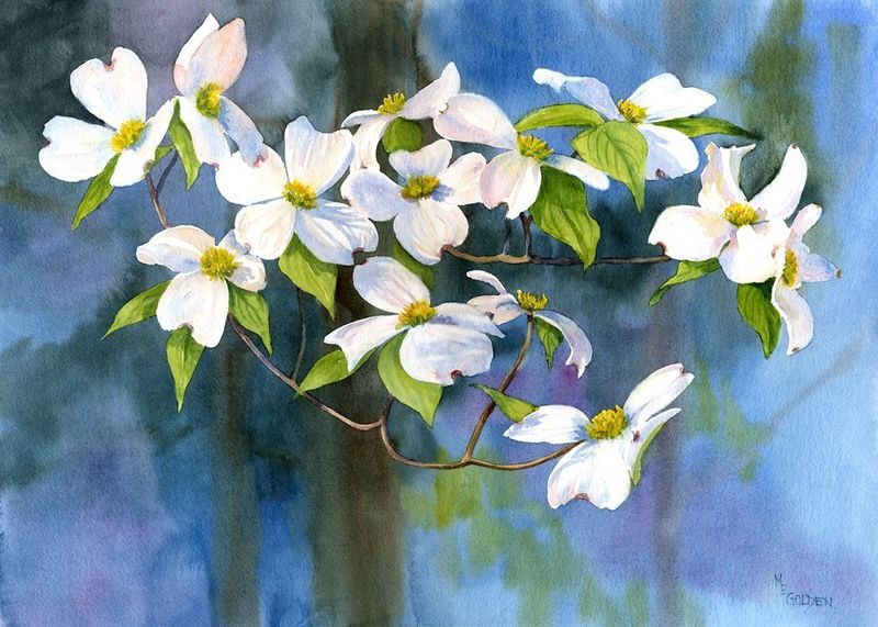800x571 Tree Of Faith Print Of Dogwood Blossoms - Dogwood Watercolor Paintings
