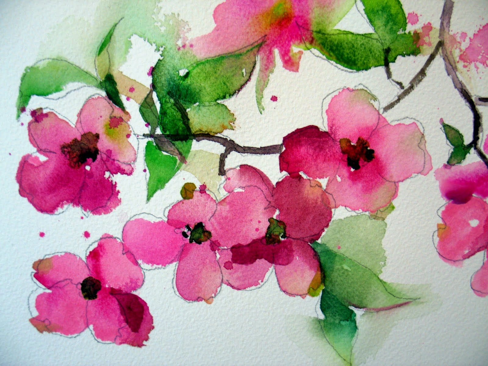 1600x1200 Dogwood Flowers 3l44g C3ec8ta3 Dct8hfi - Dogwood Watercolor Paintings