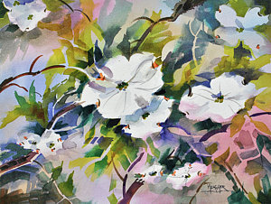 300x226 Dogwood Flower Paintings Fine Art America - Dogwood Watercolor Paintings