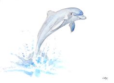 236x171 Dolphin Watercolor By Tina Cash Walsh Tat - Dolphin Watercolor