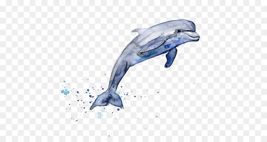 900x480 Drawing Dolphin Watercolor Painting Clip Art - Dolphin Watercolor