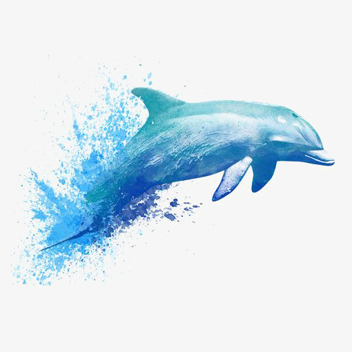 510x510 Watercolor Dolphin, Watercolor Clipart, Dolphin Clipart, Hand - Dolphin Watercolor