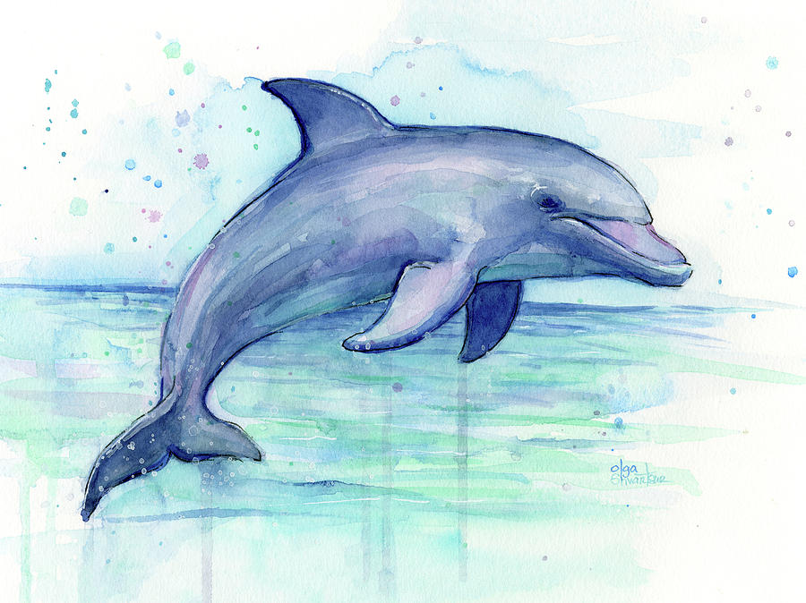 900x674 Watercolor Dolphin Painting - Dolphin Watercolor