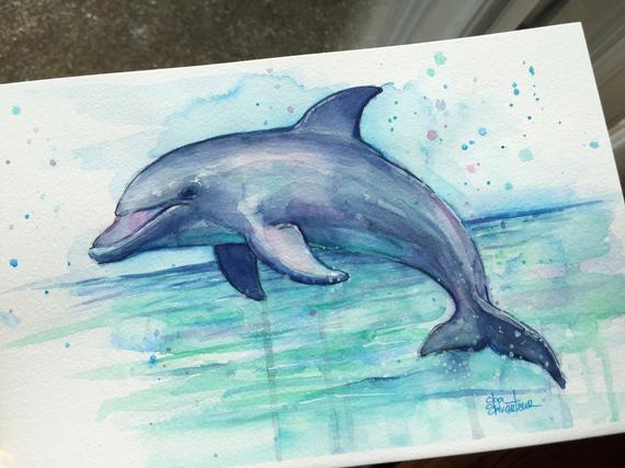 570x427 Dolphin Watercolor Painting Dolphin Art Sea Creatures Etsy - Dolphin Watercolor Painting