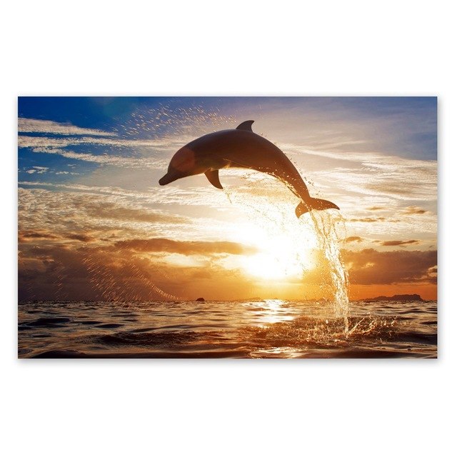 640x640 Watercolor Whale Dolphin Painting Wall Art Print Pictures, Hand - Dolphin Watercolor Painting