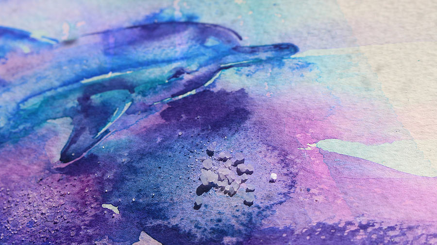 900x506 Watercolor Dolphin Paint - Dolphin Watercolor Painting