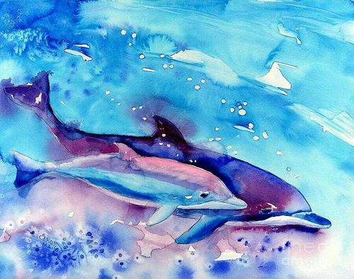 500x394 Dolphin Watercolour - Dolphin Watercolor Painting