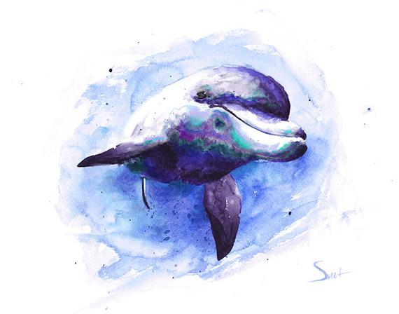570x448 Dolphin Print Dolphin Painting Dolphin Watercolor Dolphin Etsy - Dolphin Watercolor Painting