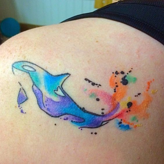 564x564 Image Result For Watercolor Pencil Dolphins Tattoos - Dolphin Watercolor Tattoo