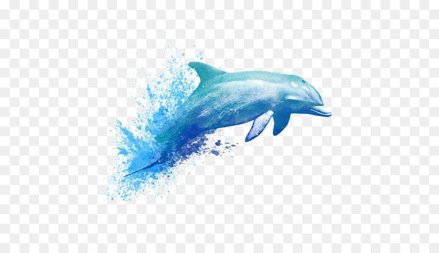 900x520 Watercolor Painting Drawing Dolphin Tattoo - Dolphin Watercolor Tattoo