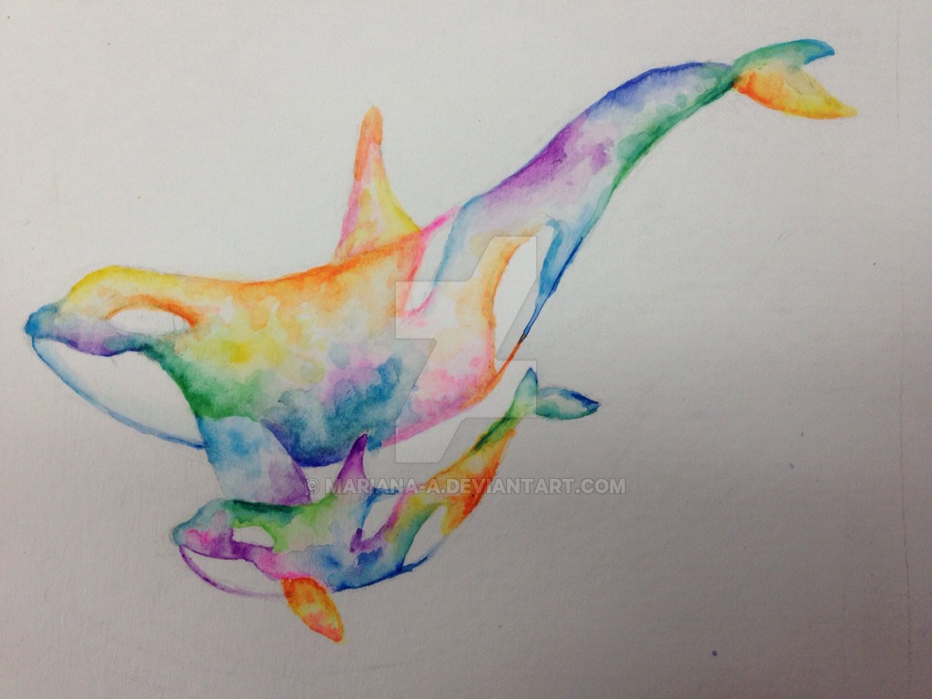 1024x768 Watercolor Tattoo Concept By Mariana - Dolphin Watercolor Tattoo