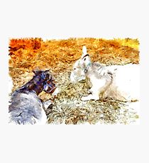 210x230 Donkey Watercolor Wall Art Redbubble - Donkey Watercolor