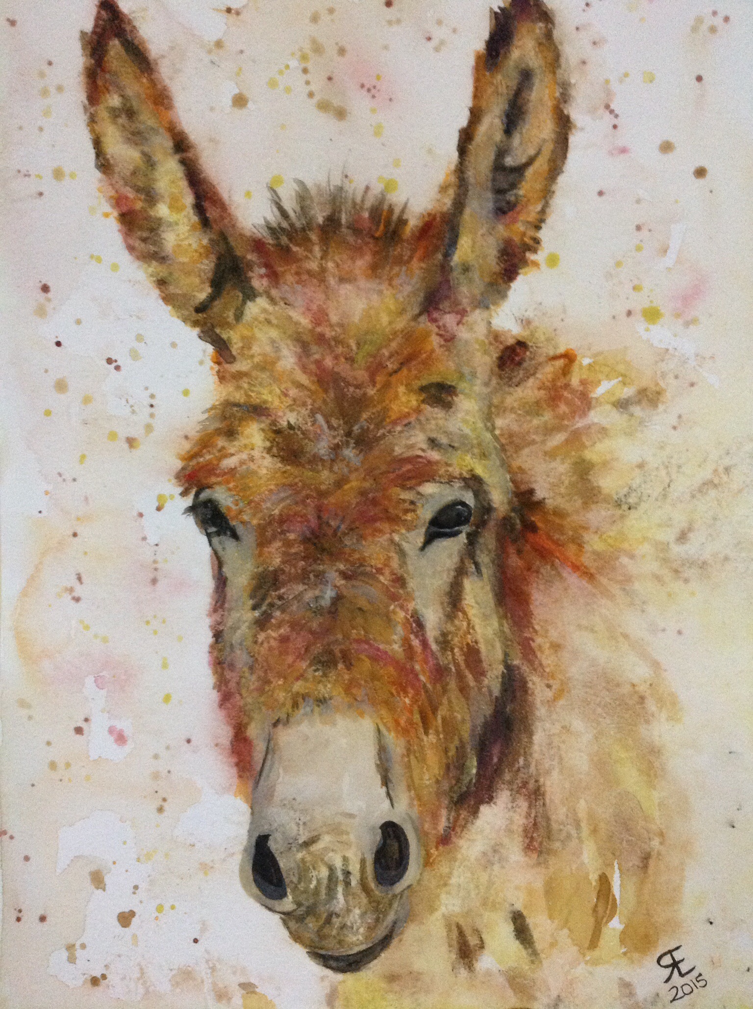 Donkey Watercolor At Explore Collection Of Donkey