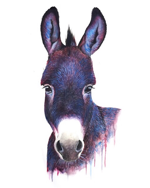 640x799 Donkey - Donkey Watercolor