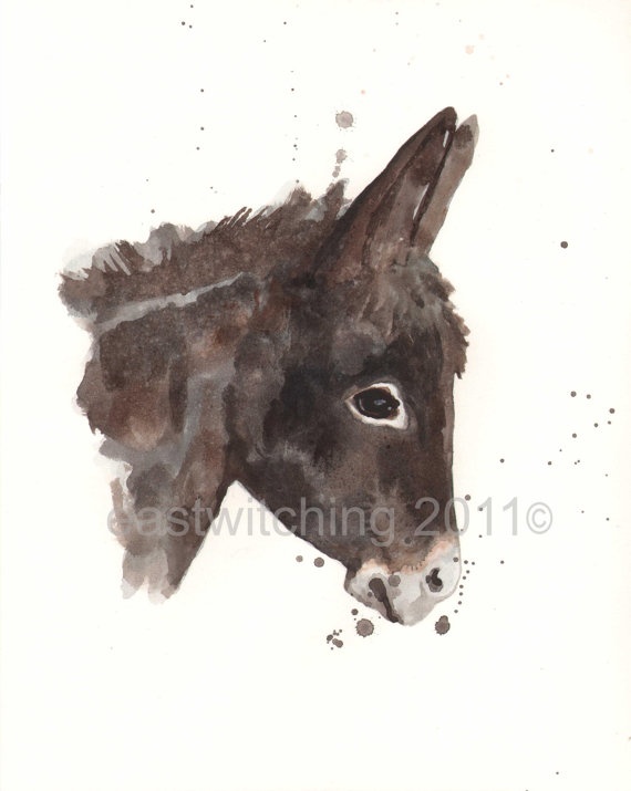 570x715 Drawn Donkey Watercolor - Donkey Watercolor