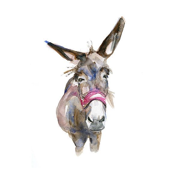 570x570 Funny Donkey Watercolor Painting Giclee Art Print By Zendrawing - Donkey Watercolor