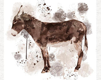 340x270 Watercolor Donkey Etsy - Donkey Watercolor