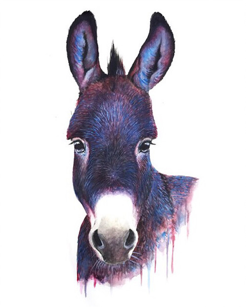 498x621 Donkey - Donkey Watercolor