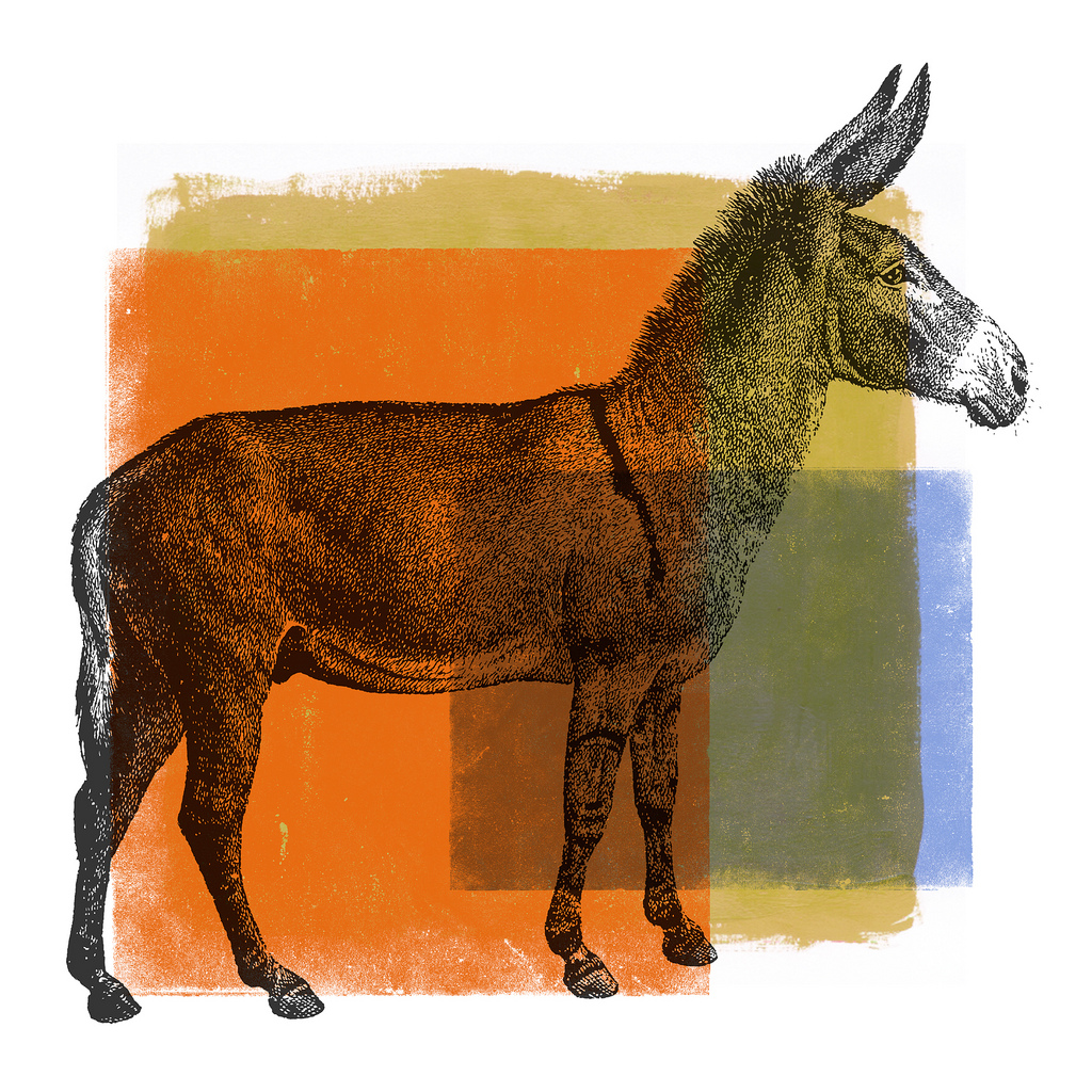1024x1024 Watercolor Donkey 1 Original Digital Collage. Georgia - Donkey Watercolor