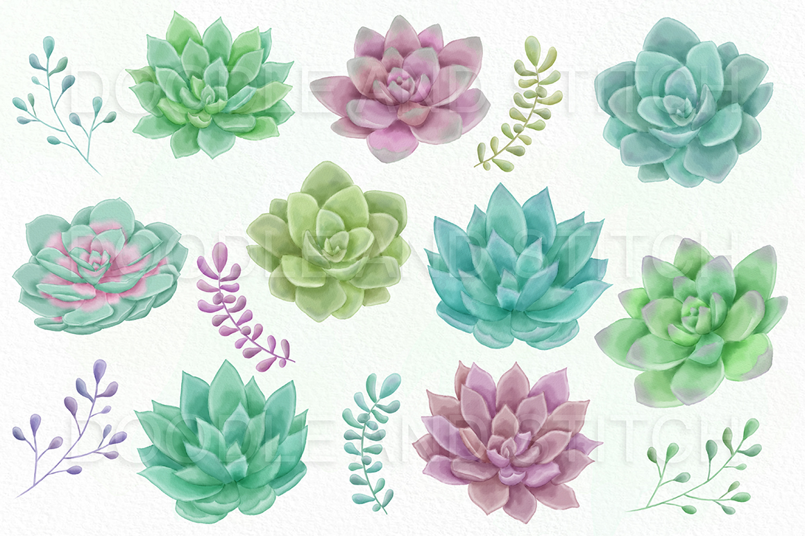 1160x772 Watercolor Succulent Clipart Illustrations By Doodle Art - Doodle Watercolor