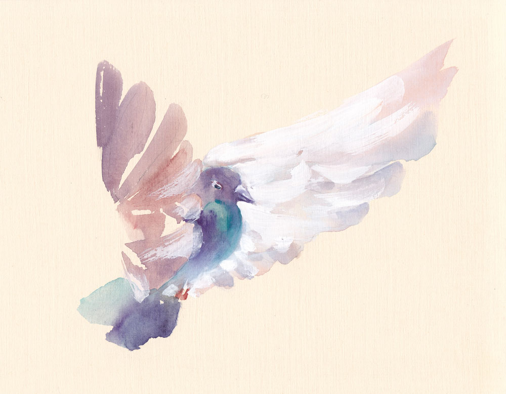 1000x779 Dove Watercolour Amethyst Tiger - Dove Watercolor.