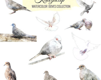 340x270 Dove Watercolor Etsy - Dove Watercolor