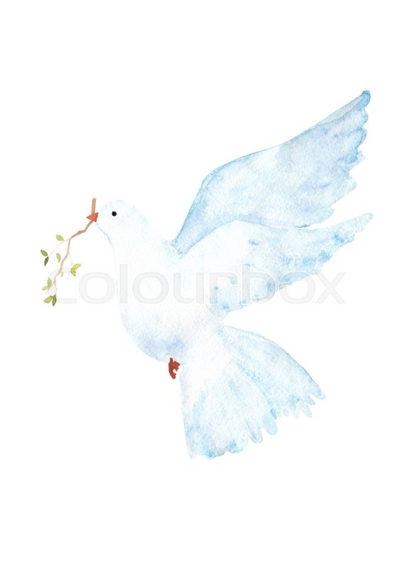 566x800 Watercolor Dove Clip Art Stock Photo Colourbox - Dove Watercolor