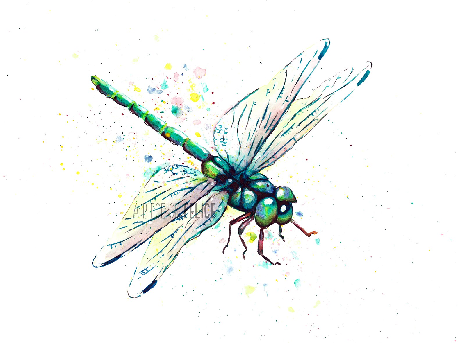 1575x1181 Dragonfly Watercolor Painting - Dragonfly Paintings Watercolor