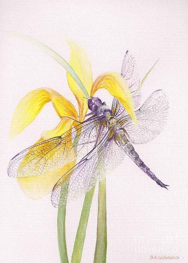 644x900 Sheer Wings Painting - Dragonfly Paintings Watercolor