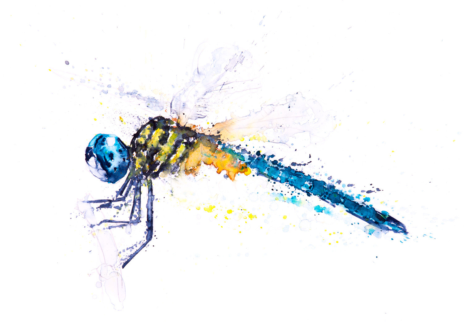 1500x1061 Dragonfly Watercolor Painting Watercolour - Dragonfly Watercolor Pictures