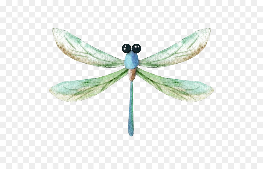900x580 Dragonfly Watercolor Painting Icon - Dragonfly Watercolor Pictures