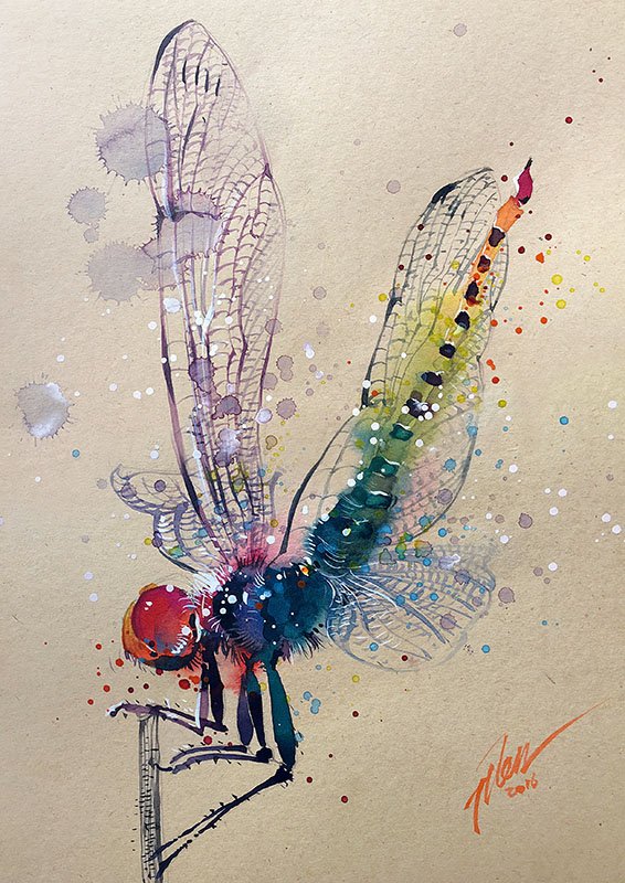 566x800 Dragonfly Watercolor With Gouache Painting A4 Art Print - Dragonfly Watercolor Pictures