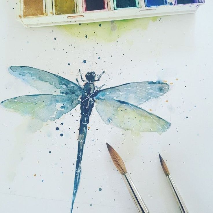 736x736 Just A Small Little Dragonfly In Watercolour To Get Back To - Dragonfly Watercolor Pictures