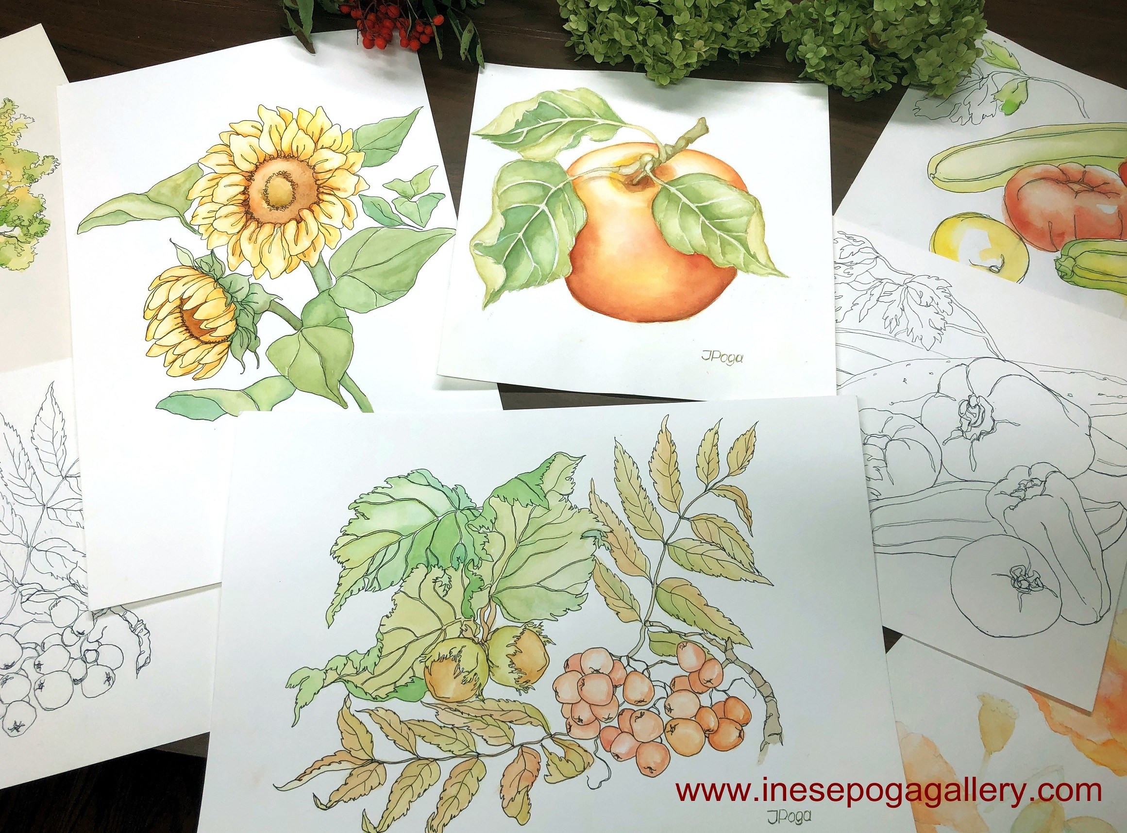 2321x1716 Watercolor Archives - Drawing And Watercolor