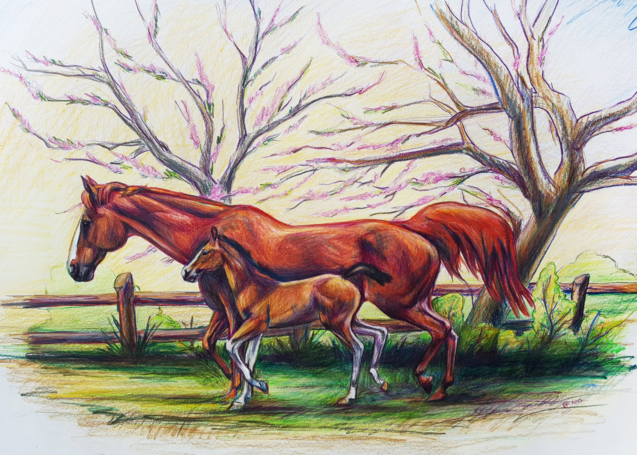 2463x1758 Drawing Amp Watercolor - Drawing And Watercolor