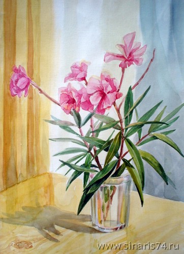 362x500 Flowers - Drawing Watercolor Flowers