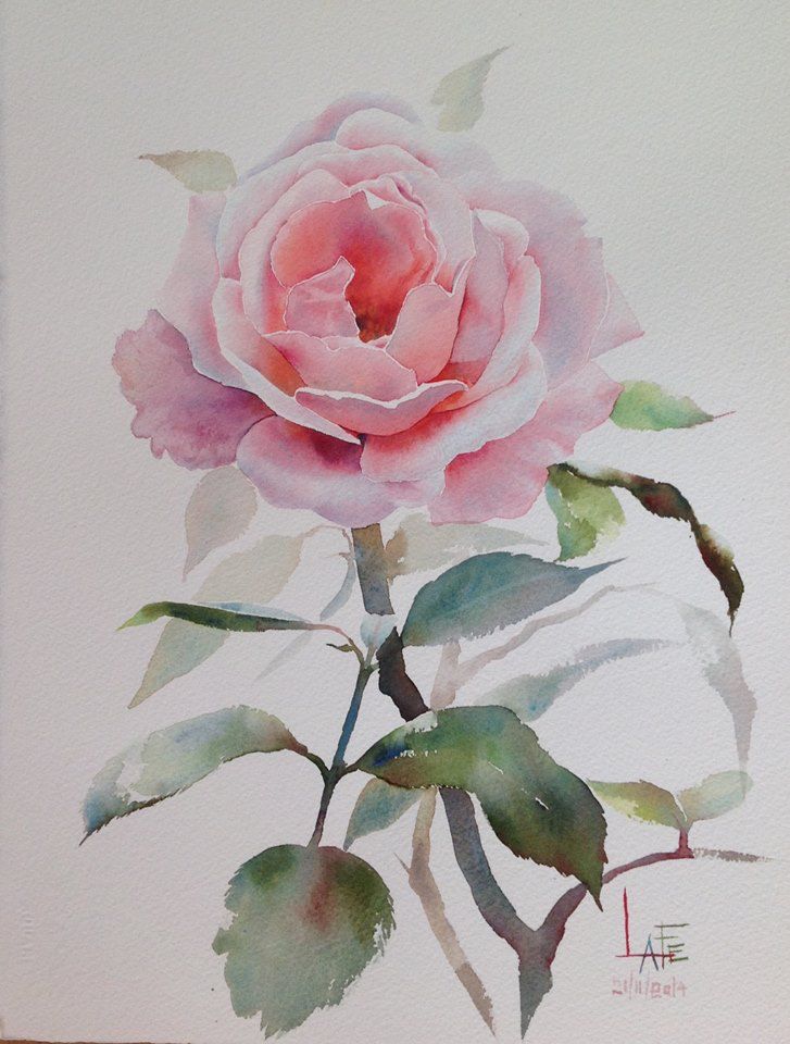 727x960 Gallery Painting Flowers In Watercolor Tutorial, - Drawing Watercolor Flowers