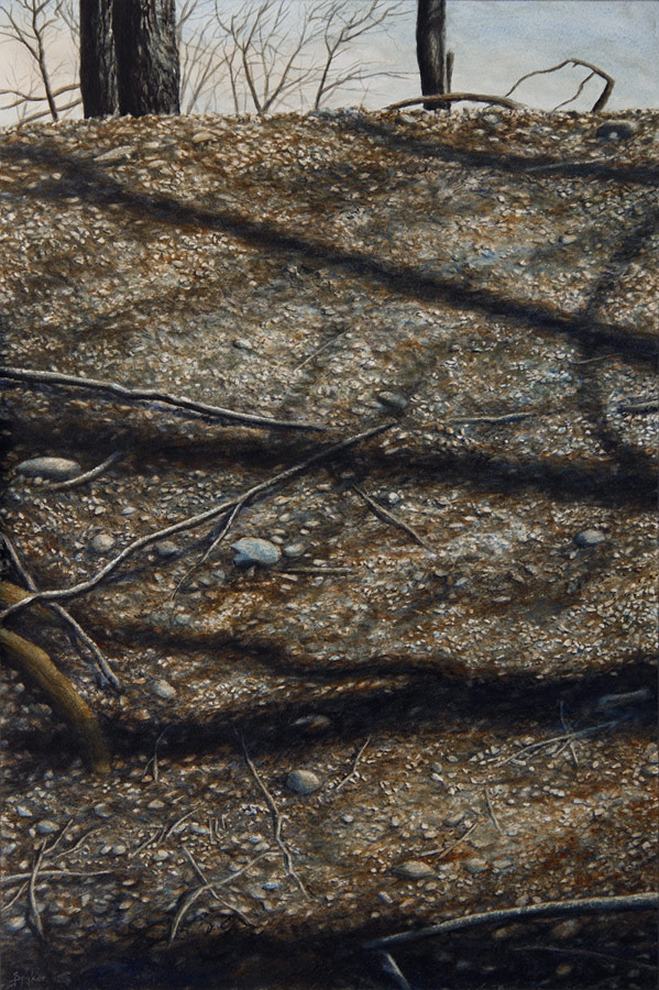 599x900 David Jay Spyker Art Watercolor Amp Drybrush - Dry Brush Watercolor Painting