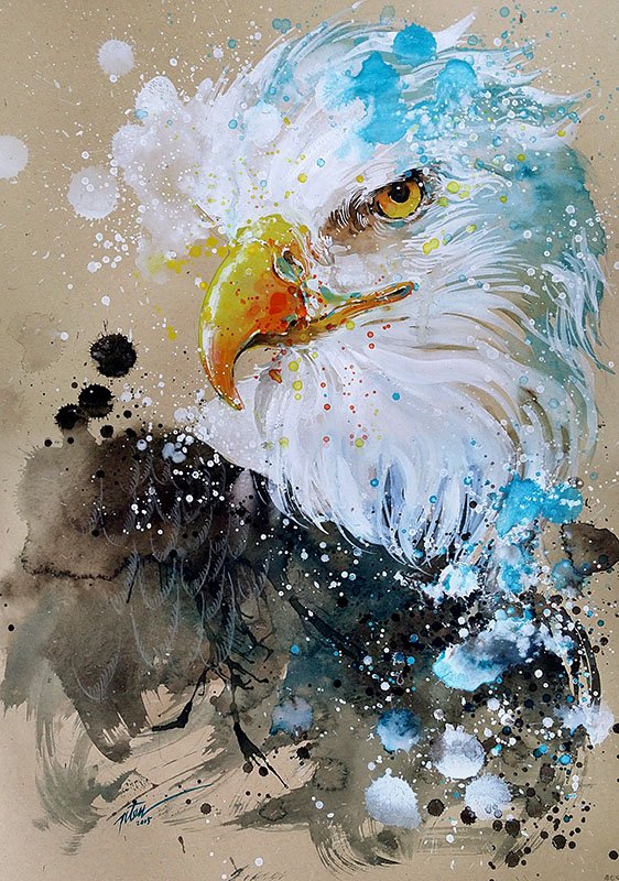 562x800 Eagle - Eagle Watercolor